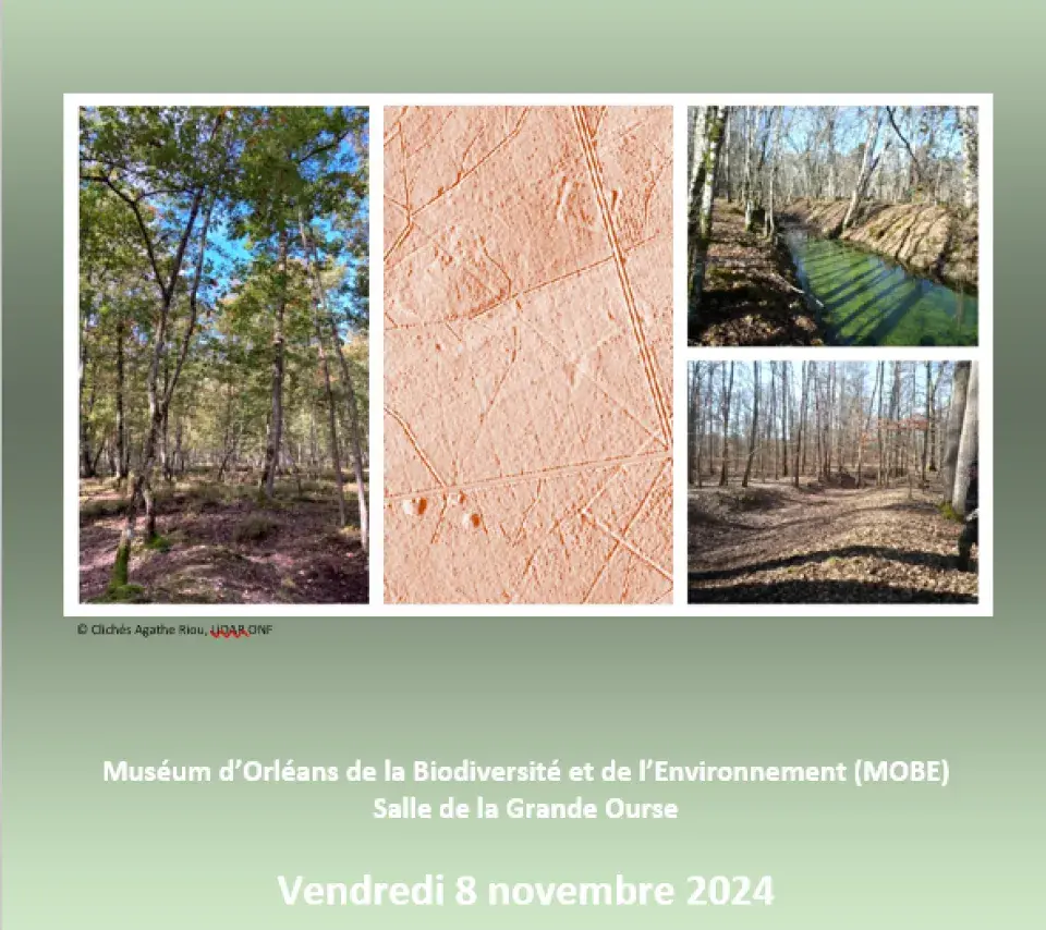 Flyer contenant les informations de la journée d'étude