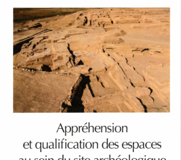 Appréhension et qualification des espaces au sein du site archéologique